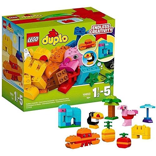 LEGO Duplo Idea Box 10853 Duplo(R)