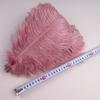 10Pcs 30-35cm Ostrich Feathers for Crafts Wedding Decoration 12-14" Handicraft Accessories Table Centerpieces Carnival Plumas