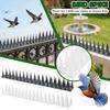 Jardim e horta – Proteção contra pragas de jardim