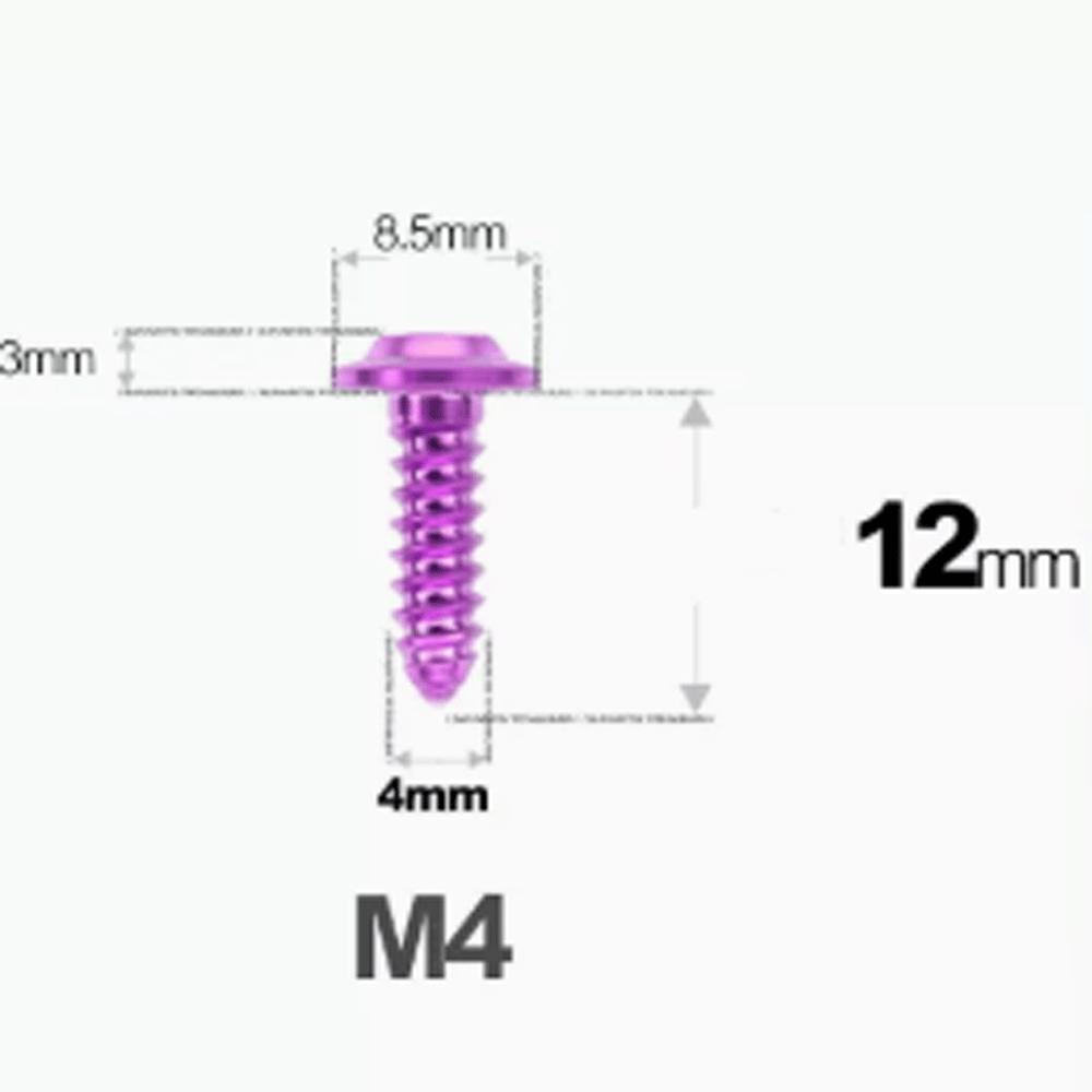 1 Pcs M4 M5 M6 X 12/14/16/20-55mm GR5 TC4 Titanium Alloy Screw Self-tapping  Torx Head Flange Motocycle Case