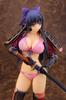 SKYTUBE Walkure Romanze Ryuzoji Akane Scale PVC Painted Finished Figure 1/5.5