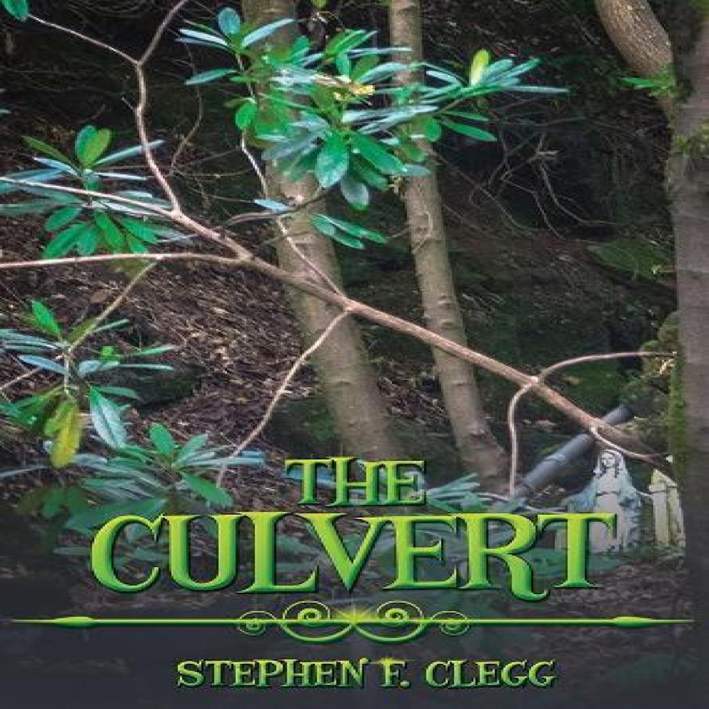 The Culvert by Stephen F. Clegg Paperback Book 9781035881550