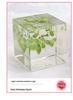 Dandelion Preserved Flower Night Light - Wooden Crystal Ball for Christmas & Birthday Gifts