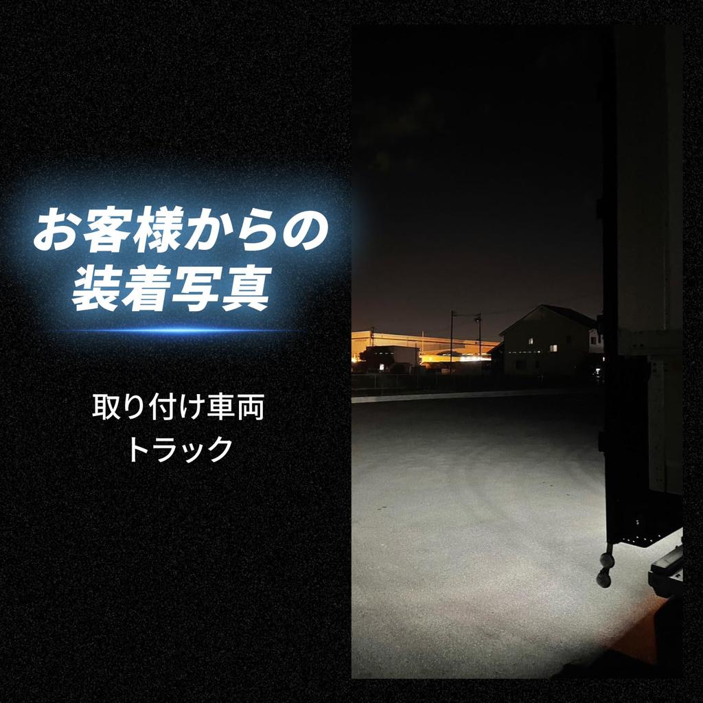 Takenous Truck Bastard Takemura Shokai s25 Single Bulb for Back Lamp, 12 V, 24 V, LED, White, Set of 2