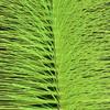 Pack of 10 Fish Pond Filter Brushes Corrosion Resistant Efficient Cleaning Brush for Fishtanks Pond Pool Maintenances