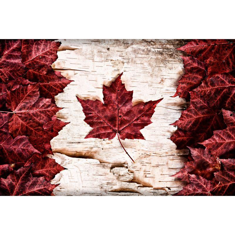 5D Colour Diamond Painting Full Drill Crystal Rhinestone Embroidery Crafts  Rainbow Gifts DIY Cultivate Patience 40x5