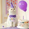 Pet Birthday Party Hat Set Cute Cat Dog Birthday Celebration Scarf Dress Up Kitten Puppy Costumes Gift Pet Accessories