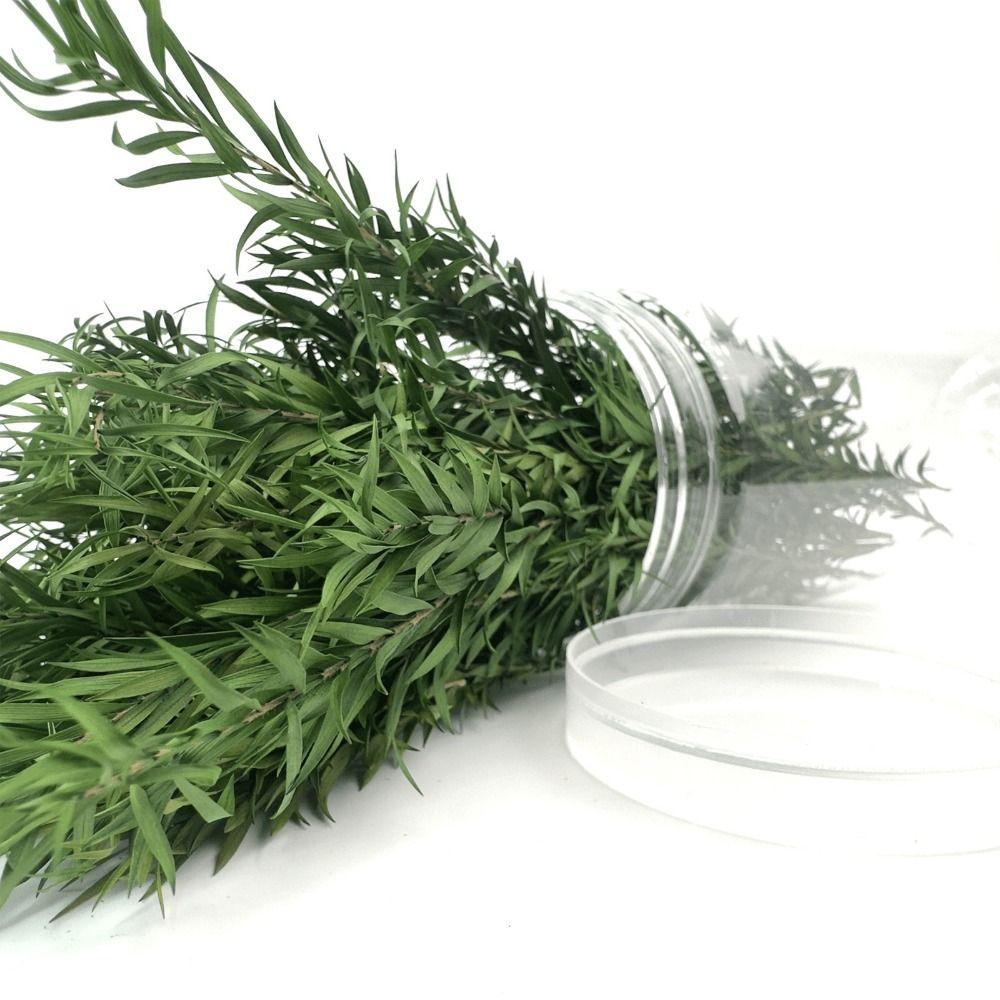 Multicolor Long Leaf Grass Cluster Accessories Sand Table Vegetation Gift Miniature Reed Mold