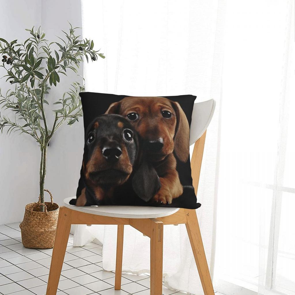 Dachshund Dog Square Pillow Cases Wiener Sausage Doxie Cushion Covers Awesome Zippered Decor Pillowcase for Living Room 45x45cm