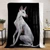 White Ibizan Hound Blanket bedroom Blanket for Livingroom Couch lunch break Soft throw for Friend's festival Gift