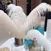 White Ostrich Feather 10Pcs Feathers for Wedding Decoration DIY Crafts Carnival Party Handmade Accessories Supplies