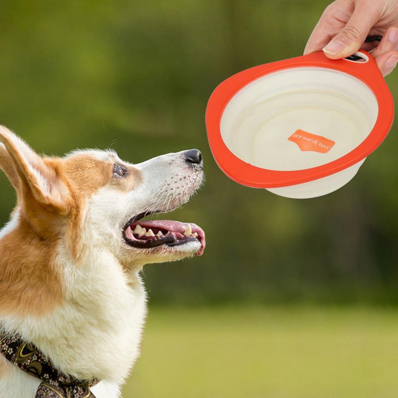 Collapsible Dog Bowl Silicone Dog Food Container Health And Safety Pet Travel Drinking Bowl Feeding Plate