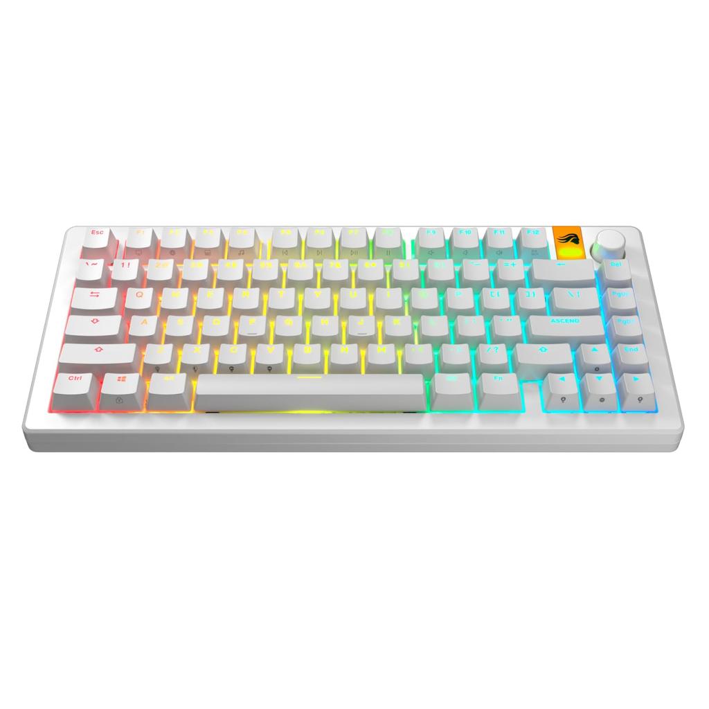 Glorious GPBT Backlit Keycaps White - US - Retail GLO-KB-ACC-KC-GPBT-LIT-WHT-US KB0872