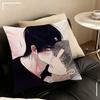 Unsleep Bl Anime Comic Pillow Case for Sofa Living Room Home office Decor Protective Cover