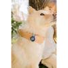 Swatch Flik Flak Skating Frenchie Watch FPSP075 Boys' Blue