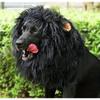 Lion Mane Wig with Ears for Dogs - Pet Costume Headgear for Halloween