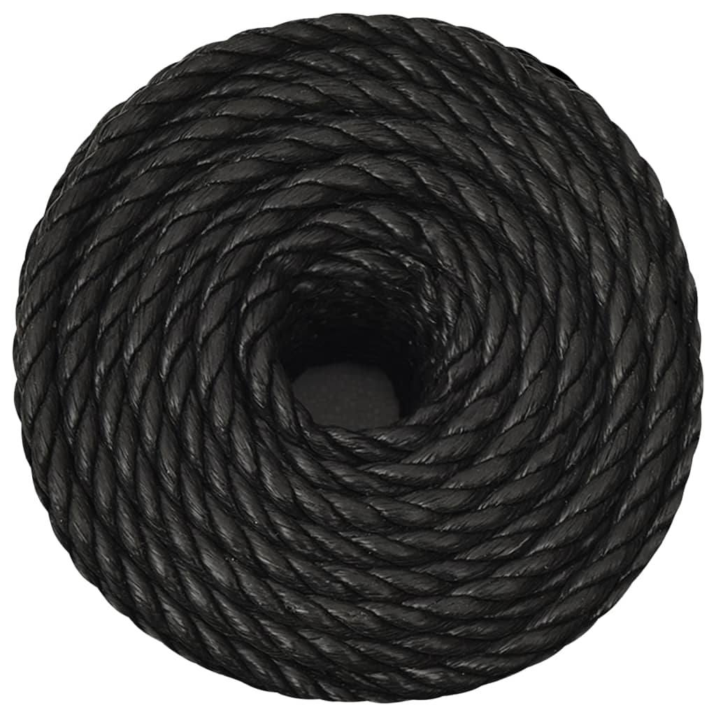Vidaxl Linka Robocza, Czarna, 10 Mm, 100 M, Polipropylen