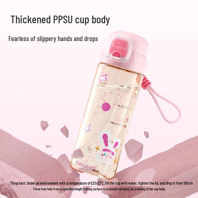 Fuguang Kids PPSU Dual-Drink Straw Water Bottle 620ml
