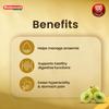 Baidyanath Dhatri Lauh Ayurvedic Tablets For Digestive Support And Acidity Relief 40 Tablets X Pack Of 2 With Amla Mulethi Giloy Lauh Bhasma