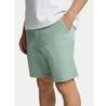 Шорты Selected Homme Miles