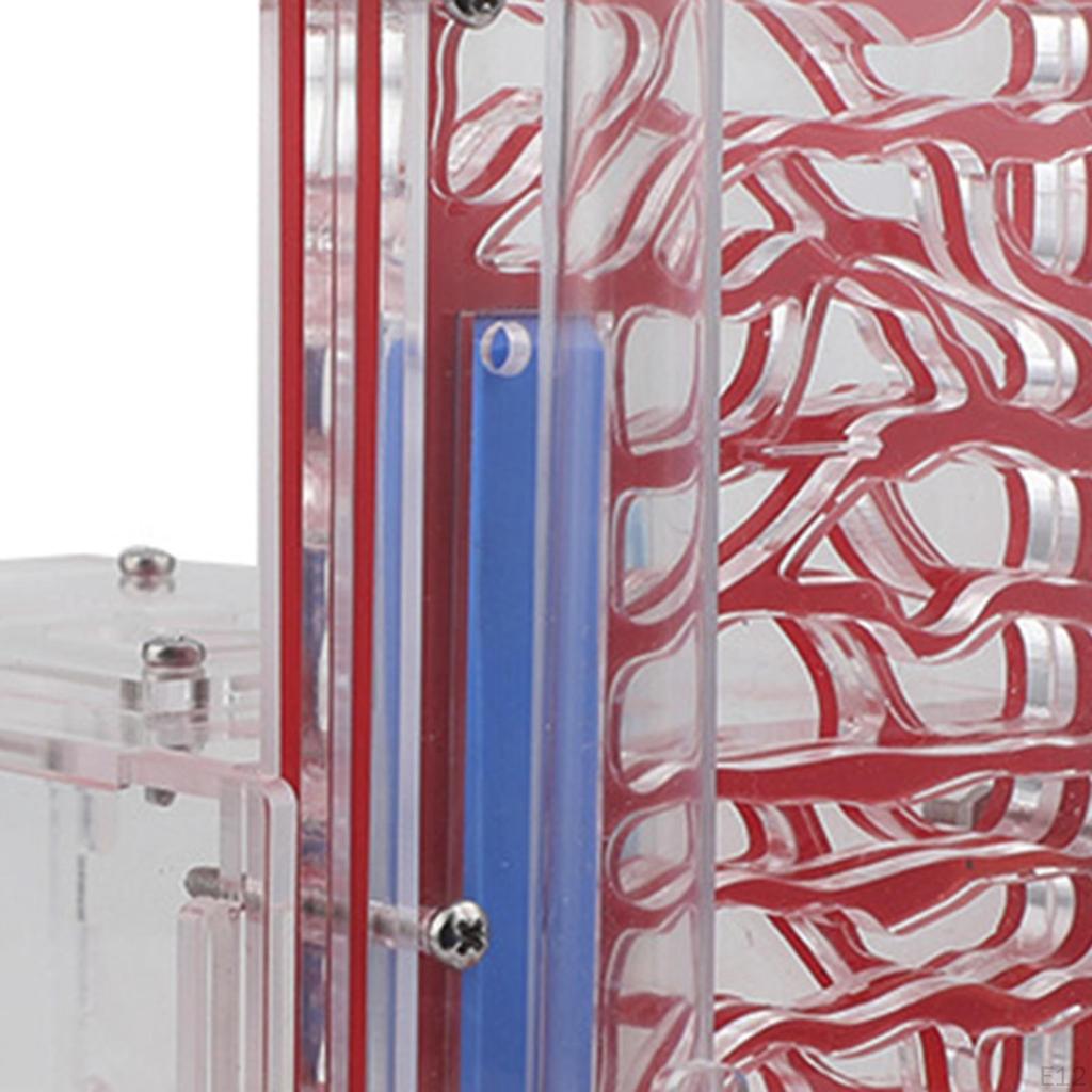 Compact DIY Moisture Nest Box for Science Observation Living Room Home Kitchen