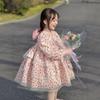 Kids Girls Long Sleeve Lolita Princess Puffy Casual Children Dress