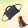 Köpek – Eğitim ve Öğretim Araçları