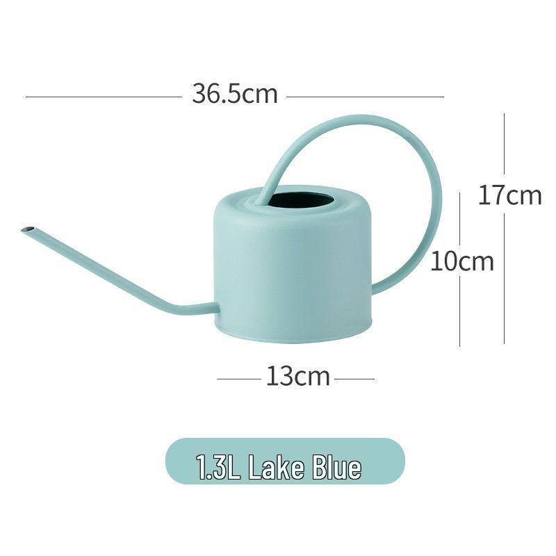 

Leide Zhuzhu Wrought Iron Long Spout Watering Can for Flowers and Succulents