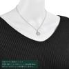 Pt999 Pure Platinum Coin Pendant Vienna Harmony Pt850 Simple Frame [Speranza] 1/25oz