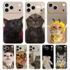 Soft Clear TPU Phone Case For iPhone 17 Air 16E 16 11 15 14 Pro MAX 12 13 7 8 Plus SE Easter Cover Protection Funny Animal Cat