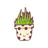 Kaktus Kaktusbälle Sukkulente Emaille Pin Brosche Cartoon Damen Herren Jeansjacken Revers Pins Rucksack Abzeichen Kinder Mode Schmuck