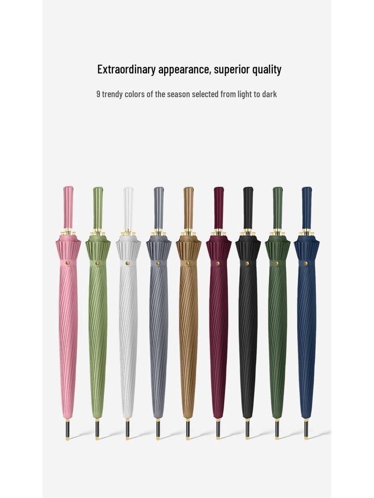 Windproof Double Canopy Umbrella with 24 Ribs and Long Handle