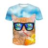 2024 Men/woman High Quality Brand T-shirt Hombre New Men T-shirt Casual Short Sleeve O-neck Fashion Funny Cat Printed 3D T Shirt