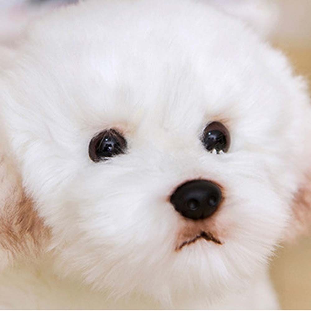 Stuffed Animal Maltese Plush Toy Pets Fluffy Puppy Dog Plush Lovely Maltese Stuffed Dog  Baby Kids