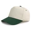 Stock 5 Panel Cotton Baseball Caps for Women Men Plain Blank Cheetah Leopard Embroidery Outdoor Sports Common Fabric