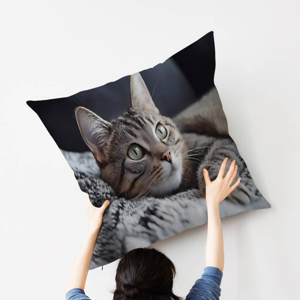 Cat Cute Kitten Stitch Lucky Dragon pillow cover sofa cushion cover home room decoration children gift