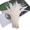 50Pcsdiy Handmade Feathers Long Feathers Off White Purple Tail Jewelry Accessories Mask Handicrafts Clothing Accessories