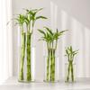 Vaso per Fiori Cilindrico Trasparente in Acrilico Infrangibile Alto Grande Vasi in Plastica per Decorazione Matrimonio Festa Vaso Fioriera Idroponica