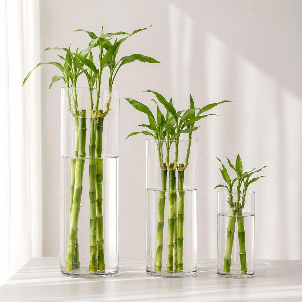 Vaso per Fiori Cilindrico Trasparente in Acrilico Infrangibile Alto Grande Vasi in Plastica per Decorazione Matrimonio Festa Vaso Fioriera Idroponica