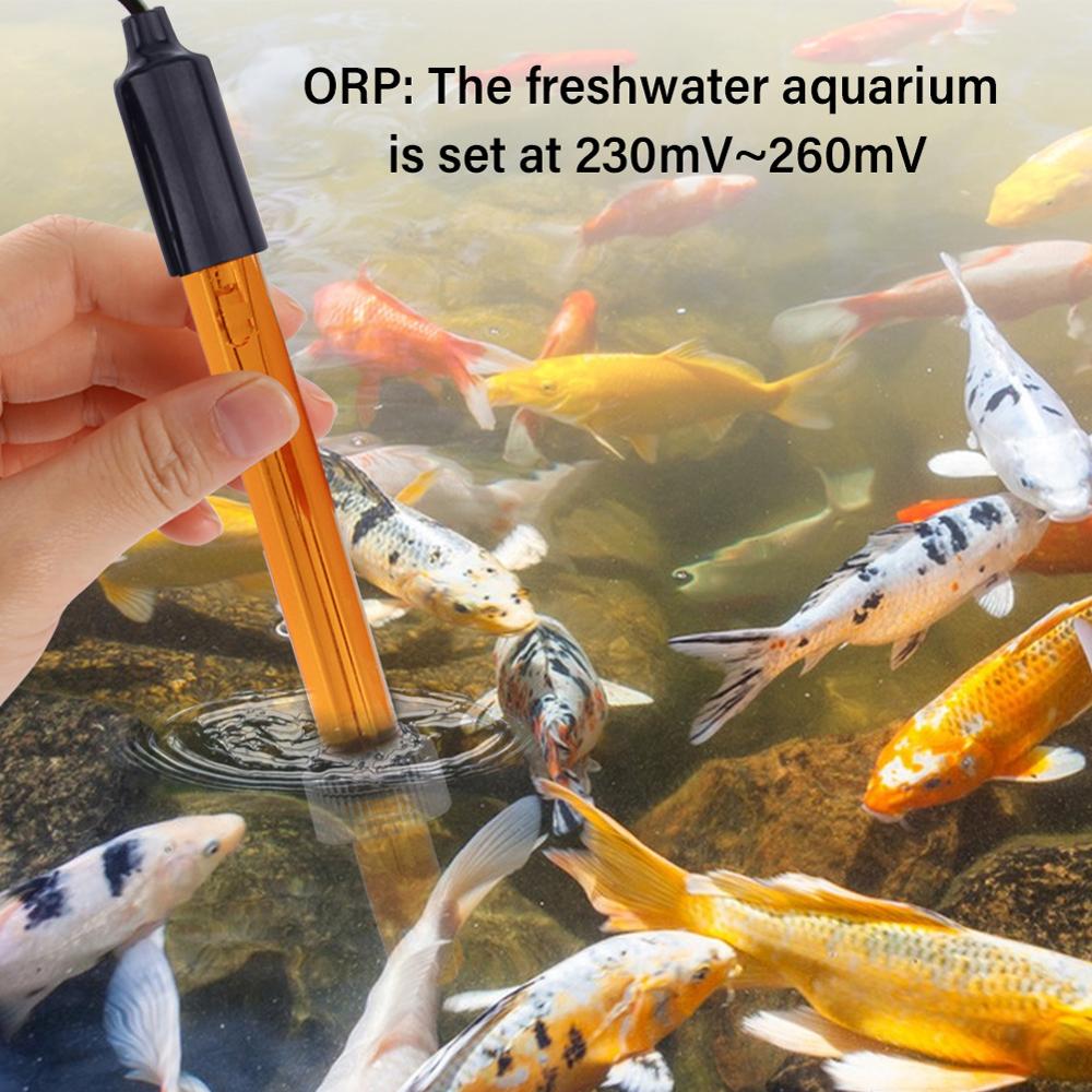 Redox-Ersatzsonde, Aquarium-Hydrokultur-Laborelektrode, Oxidations-Reduktions-Potenzialtest