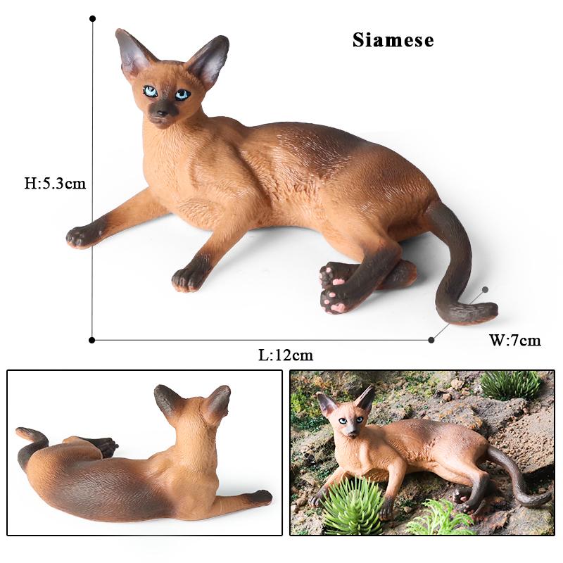 Oenux Cat Model Siamese Devon Rex Sphynx Ragdoll Persian Action Figure Cat Kitty Bobtails Figurine Cute Decoration Kids Toy Gift