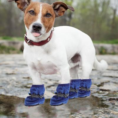 Ropa y calzado – Zapatos para perros