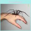 Plastic Halloween Spider Ornament For Party Decor And Gifting