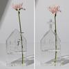 Polished Transparent Vase Container Glass Art Hydroponic Vase Ornament  Flower Arrangement