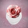 Candle Mold, Elegant Pink Rose White Soap Silicone Mold - Perfect for Resin Casting, Clay, Aromatherapy Jewelry Making and DIY Crafts - 