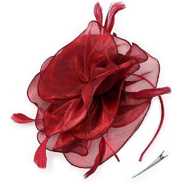 DRESHOW Fascinators Hat Tea Party Headwear Ribbons Feathers on a Headband and a Clip for Women