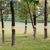 Fruit Tree Protection Tape 164 Ft X 2 Inch Caterpillar Prevention Tree Tape Sticky Barrier Plant Protector For Outdoor Lawn