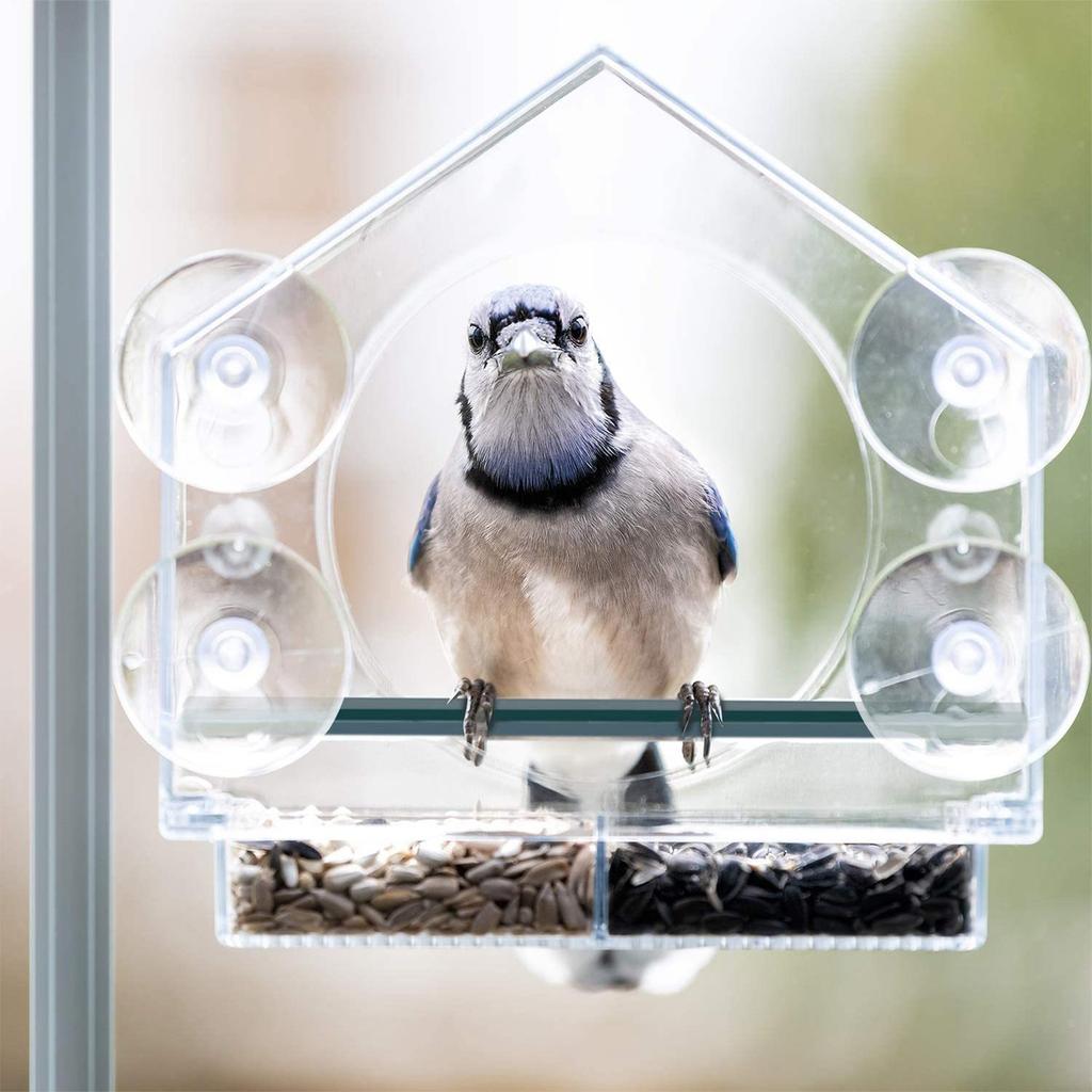 Fuglemater med vindus med kraftig sugekopp, gjennomsiktig fuglemater for visning, utendørs fuglemater med dreneringshull