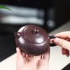 Handmade Yixing Zisha Xishi Teapot