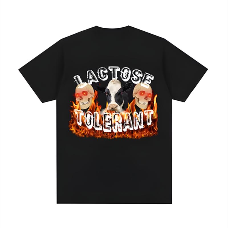 2025 Trend Loose Cotton Short-sleeved T-shirt Men's Summer American Street Hip-hop New Hong Kong Style Half-sleeved T-shirt